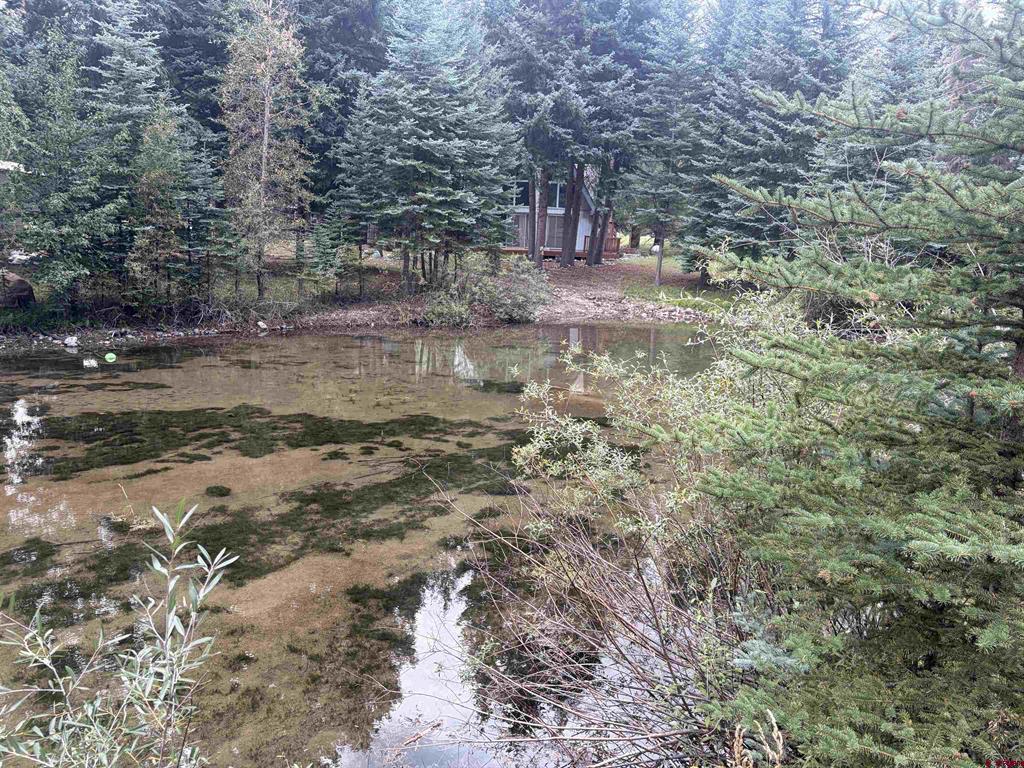 3 Boletus Creek Drive Bayfield CO 81122