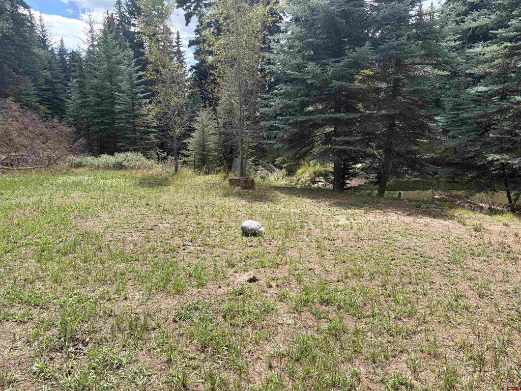 3 Boletus Creek Drive Bayfield CO 81122