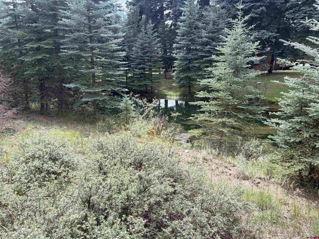 3 Boletus Creek Drive Bayfield CO 81122