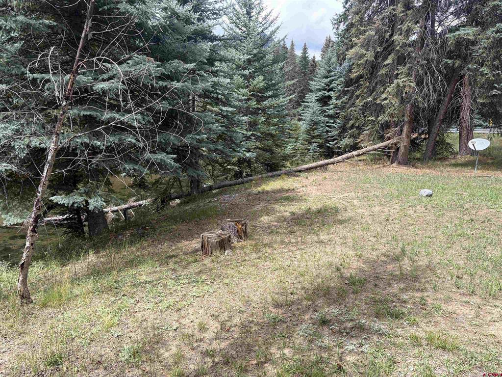 3 Boletus Creek Drive Bayfield CO 81122