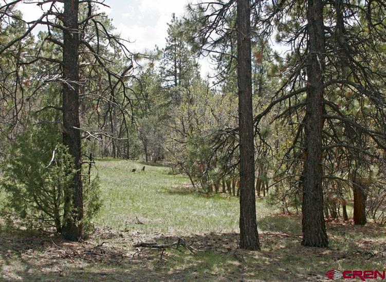 2399 Bull Elk Place Pagosa Springs CO 81147