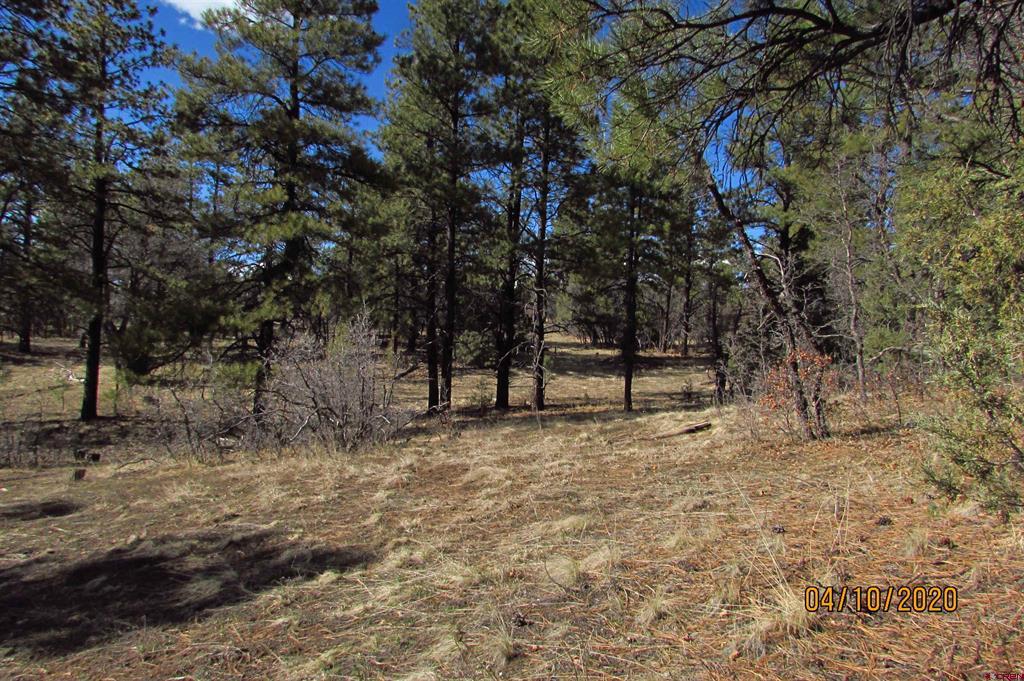 2399 Bull Elk Place Pagosa Springs CO 81147