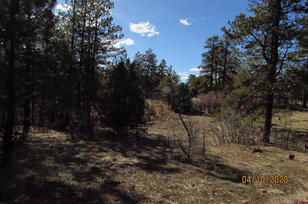 2399 Bull Elk Place Pagosa Springs CO 81147