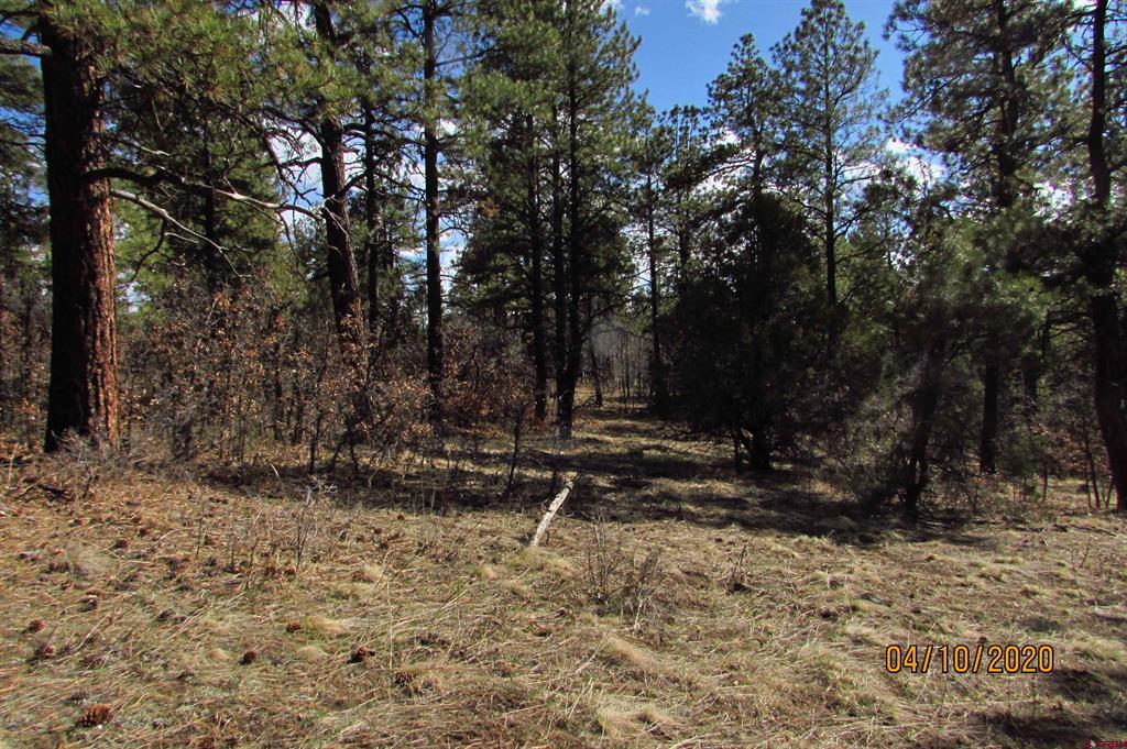 2399 Bull Elk Place Pagosa Springs CO 81147