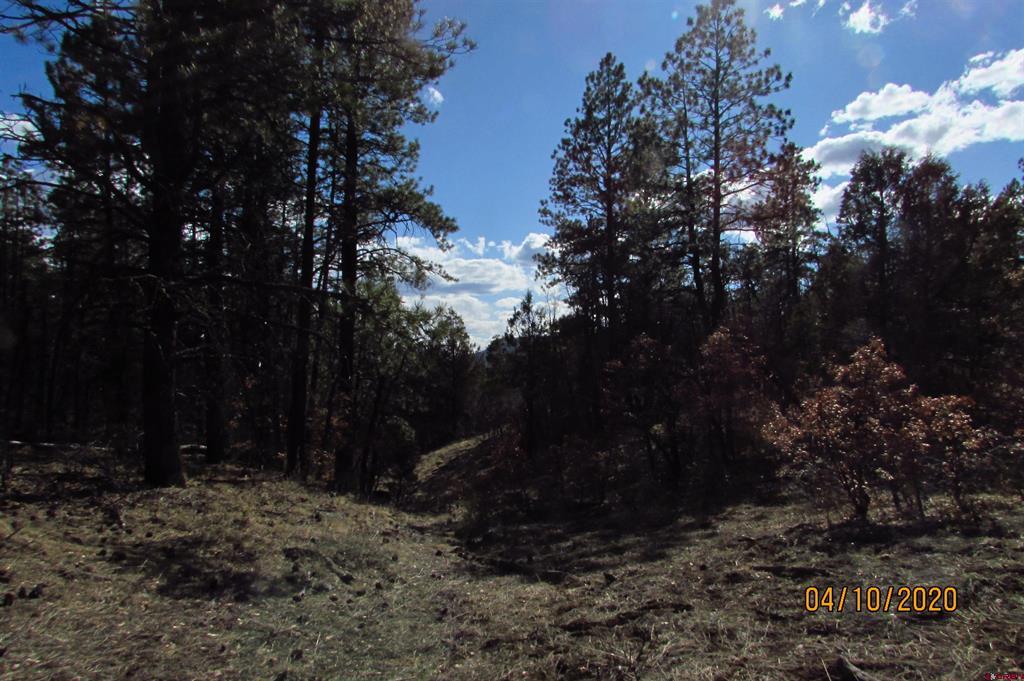 2399 Bull Elk Place Pagosa Springs CO 81147