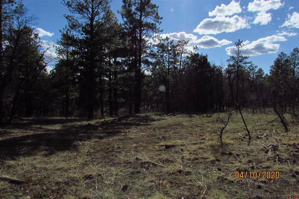 2399 Bull Elk Place Pagosa Springs CO 81147