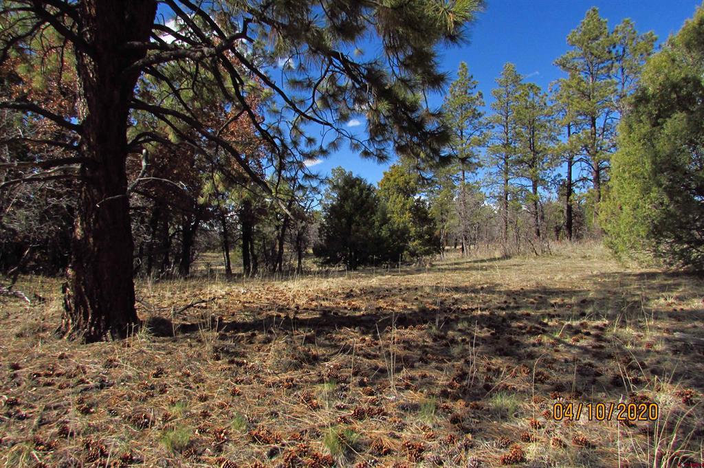 2399 Bull Elk Place Pagosa Springs CO 81147