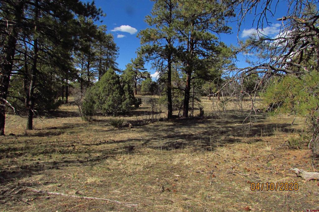 2399 Bull Elk Place Pagosa Springs CO 81147