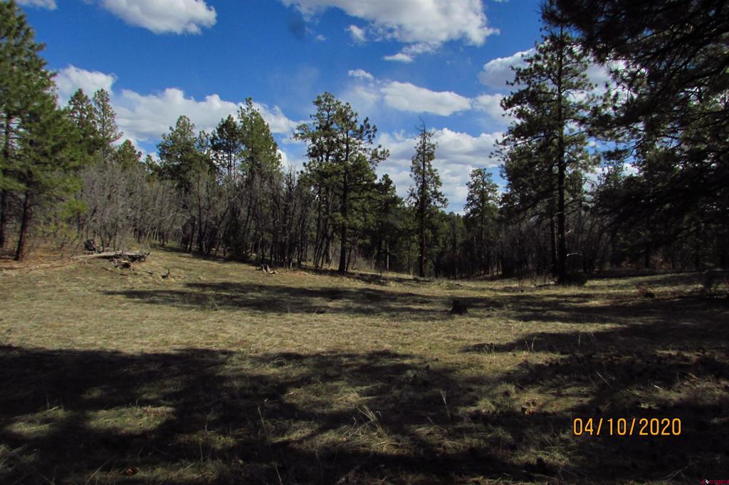 2399 Bull Elk Place Pagosa Springs CO 81147
