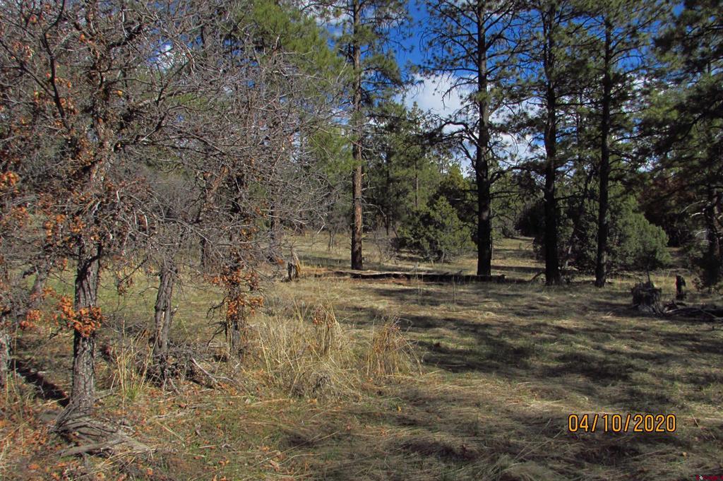 2399 Bull Elk Place Pagosa Springs CO 81147