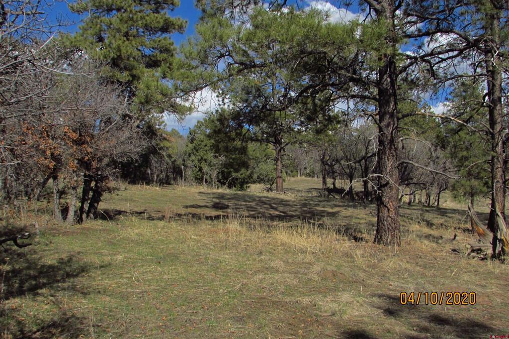 2399 Bull Elk Place Pagosa Springs CO 81147