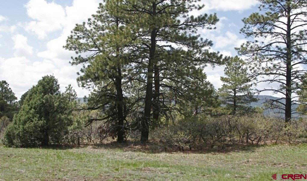 2399 Bull Elk Place Pagosa Springs CO 81147