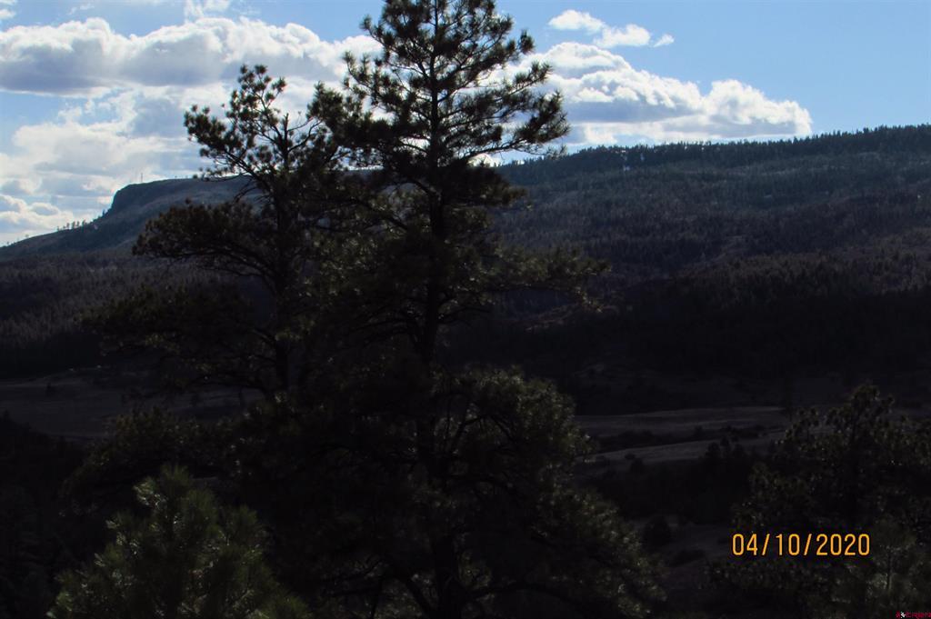 2399 Bull Elk Place Pagosa Springs CO 81147