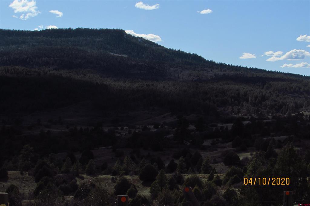 2399 Bull Elk Place Pagosa Springs CO 81147