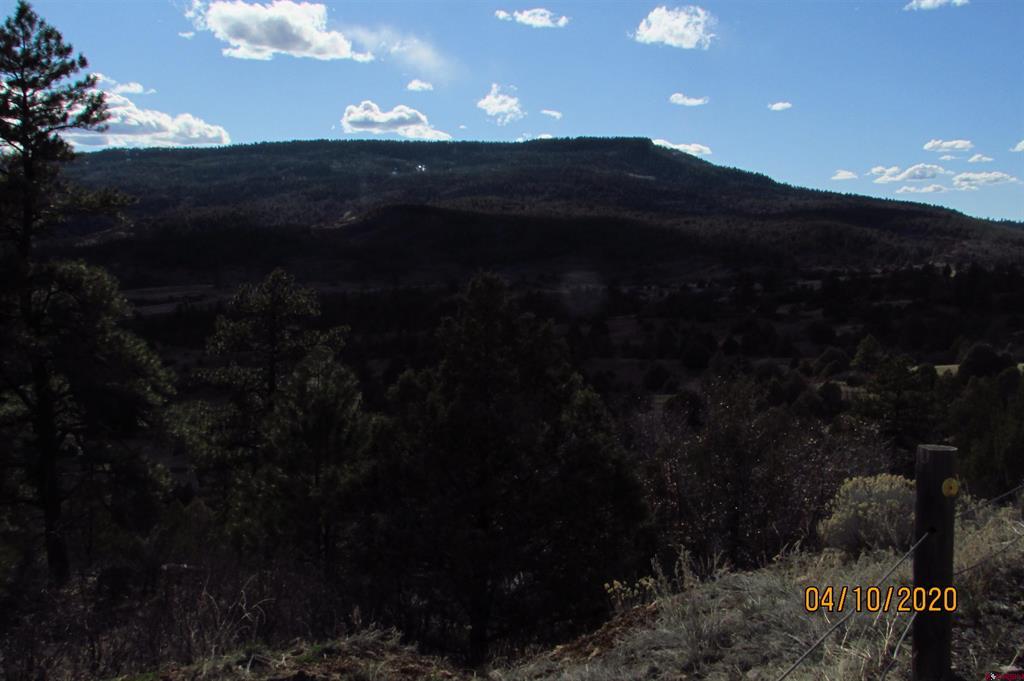 2399 Bull Elk Place Pagosa Springs CO 81147