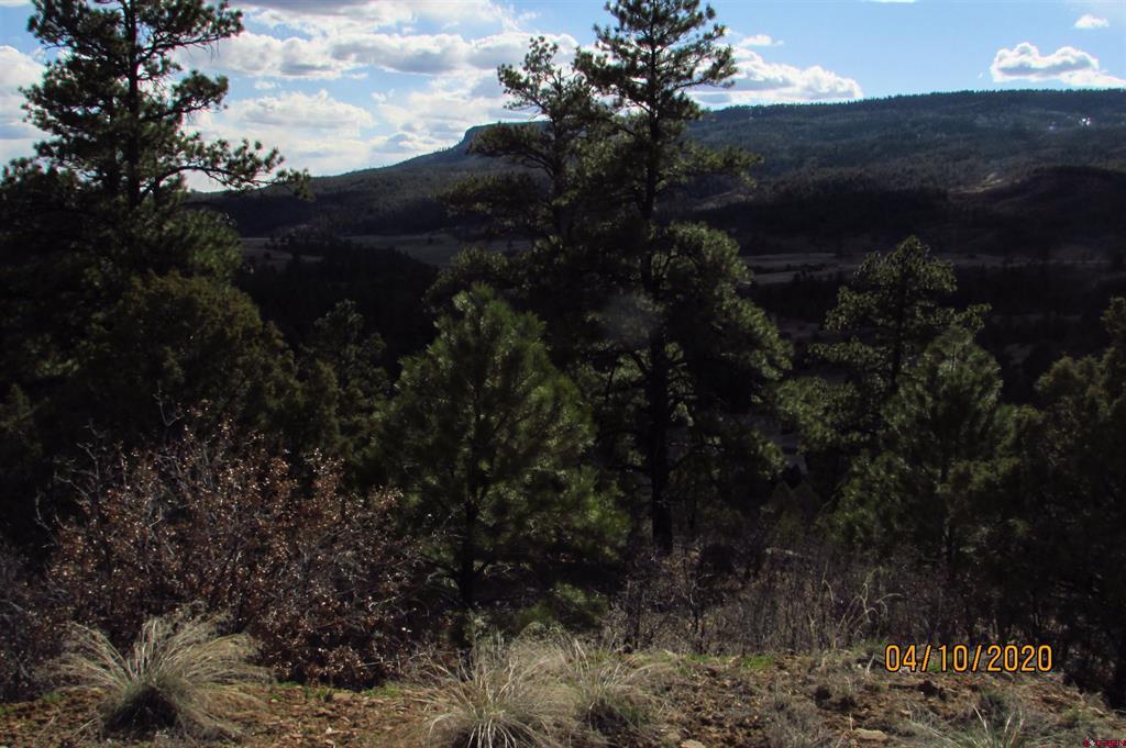 2399 Bull Elk Place Pagosa Springs CO 81147