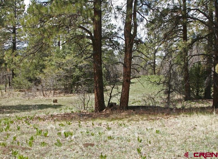 2399 Bull Elk Place Pagosa Springs CO 81147