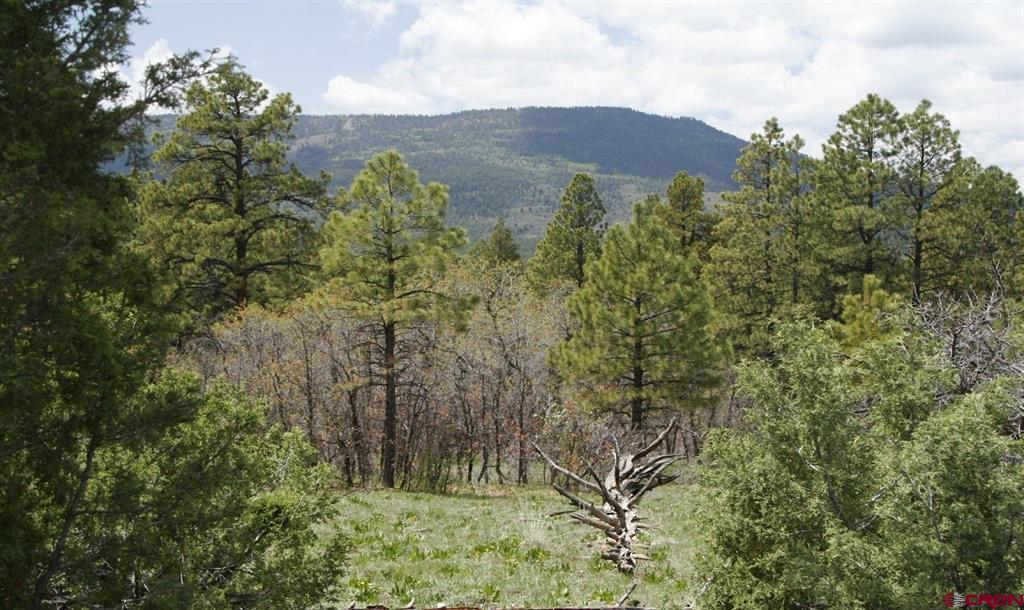 2399 Bull Elk Place Pagosa Springs CO 81147