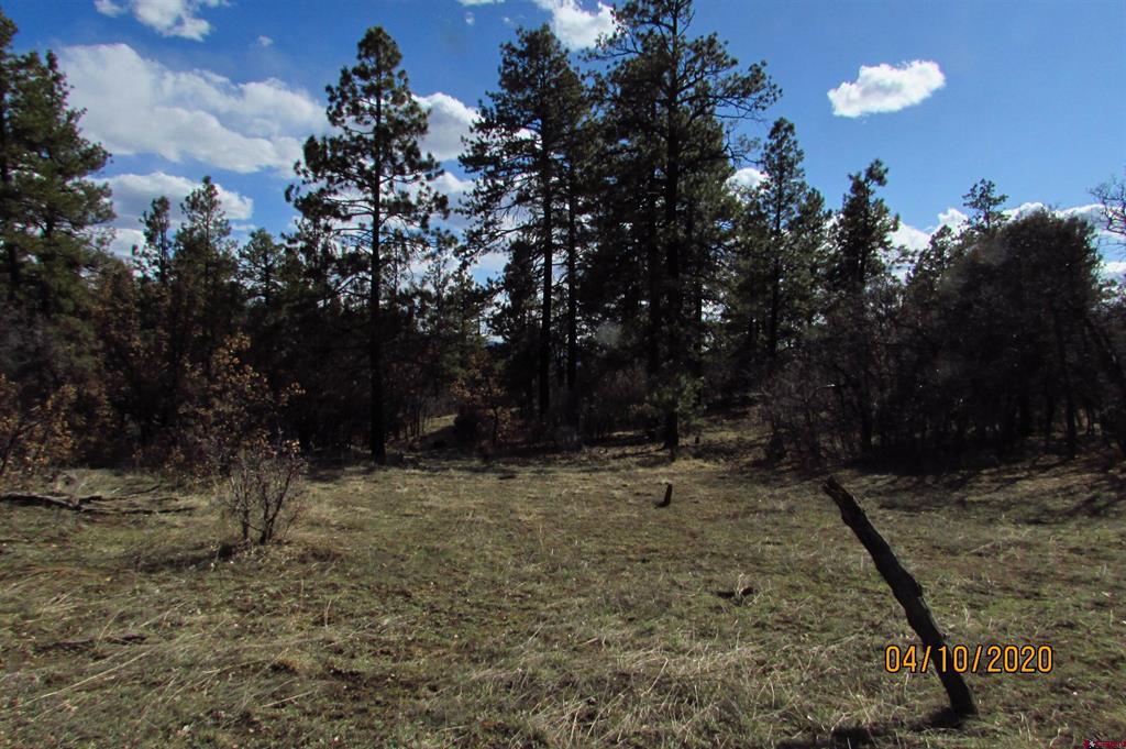 2399 Bull Elk Place Pagosa Springs CO 81147