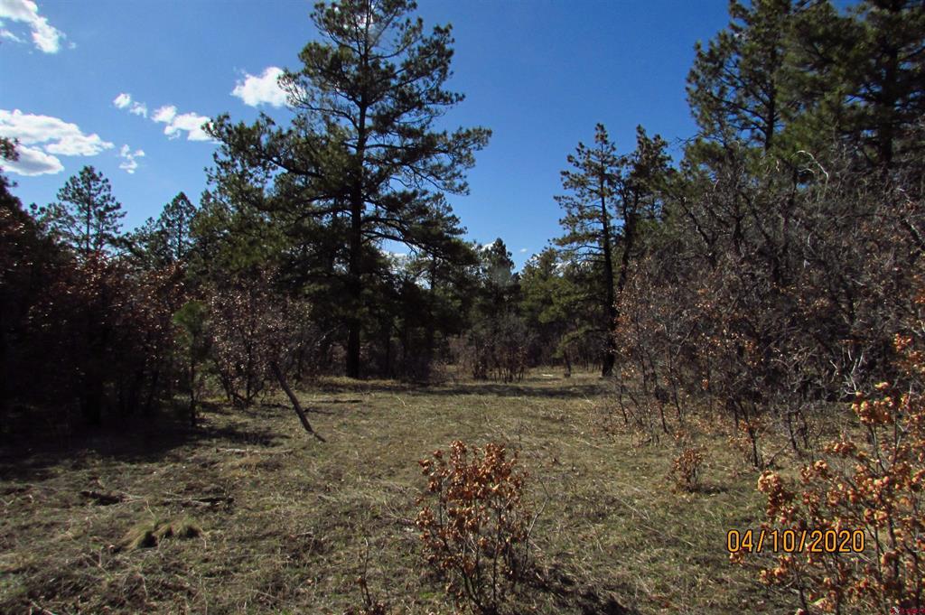 2399 Bull Elk Place Pagosa Springs CO 81147