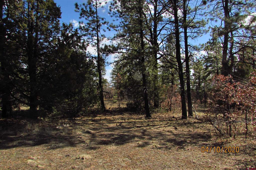 2399 Bull Elk Place Pagosa Springs CO 81147