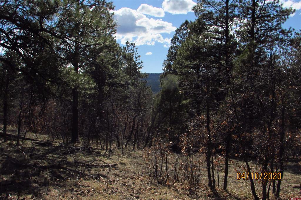 2399 Bull Elk Place Pagosa Springs CO 81147