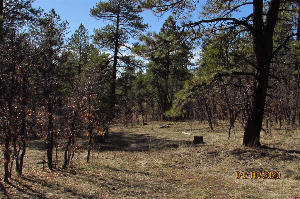 2399 Bull Elk Place Pagosa Springs CO 81147