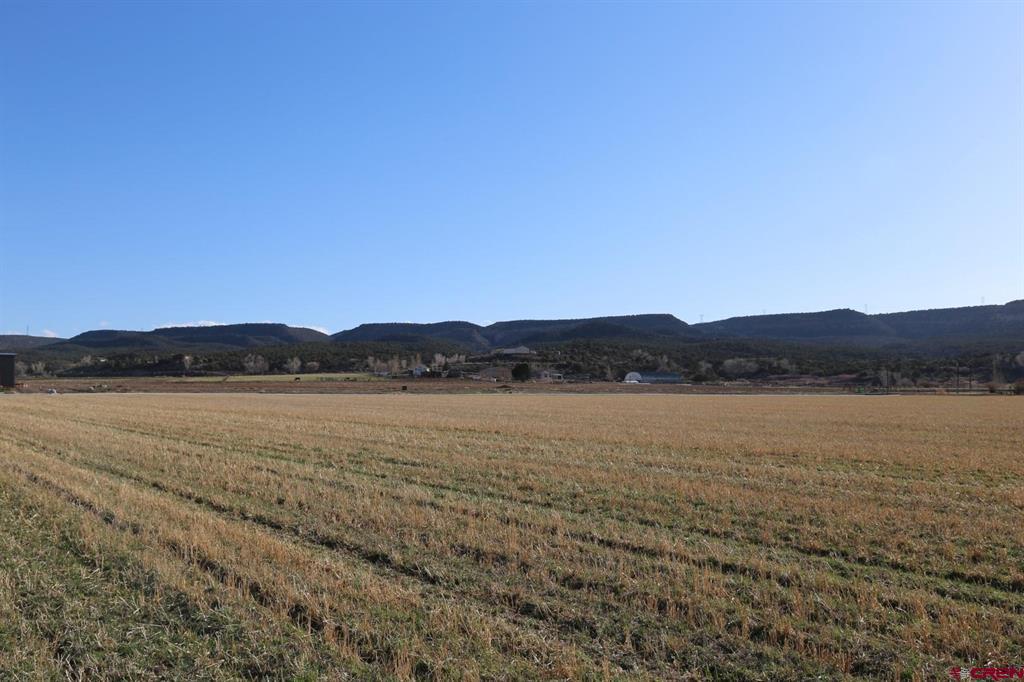 Tdb Lot 3 5790 Road Montrose CO 81403