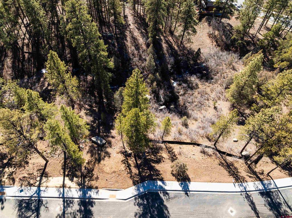 702 Tipple Avenue (Lot 122) Durango CO 81301