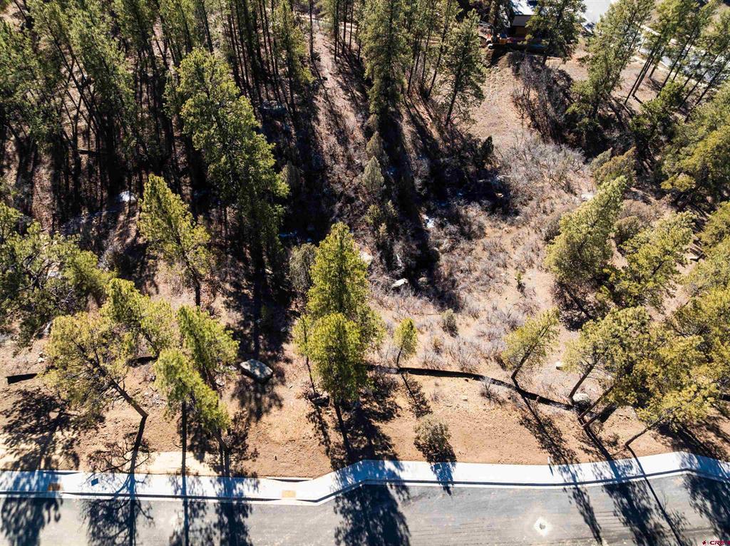 702 Tipple Avenue (Lot 122) Durango CO 81301