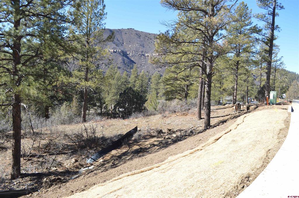 702 Tipple Avenue (Lot 122) Durango CO 81301