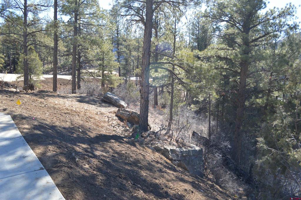 702 Tipple Avenue (Lot 122) Durango CO 81301