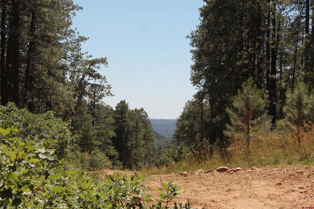 190 Jackalope Drive Bayfield CO 81122