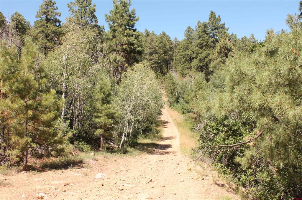 190 Jackalope Drive Bayfield CO 81122