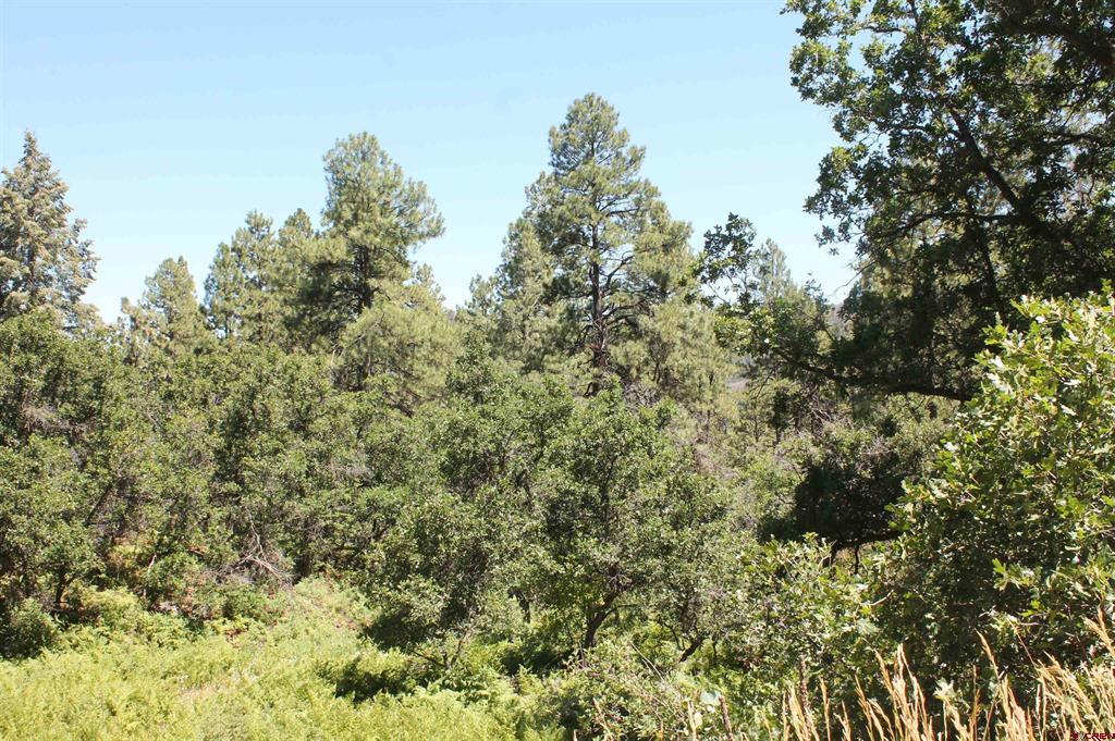 190 Jackalope Drive Bayfield CO 81122