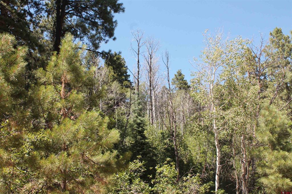 190 Jackalope Drive Bayfield CO 81122