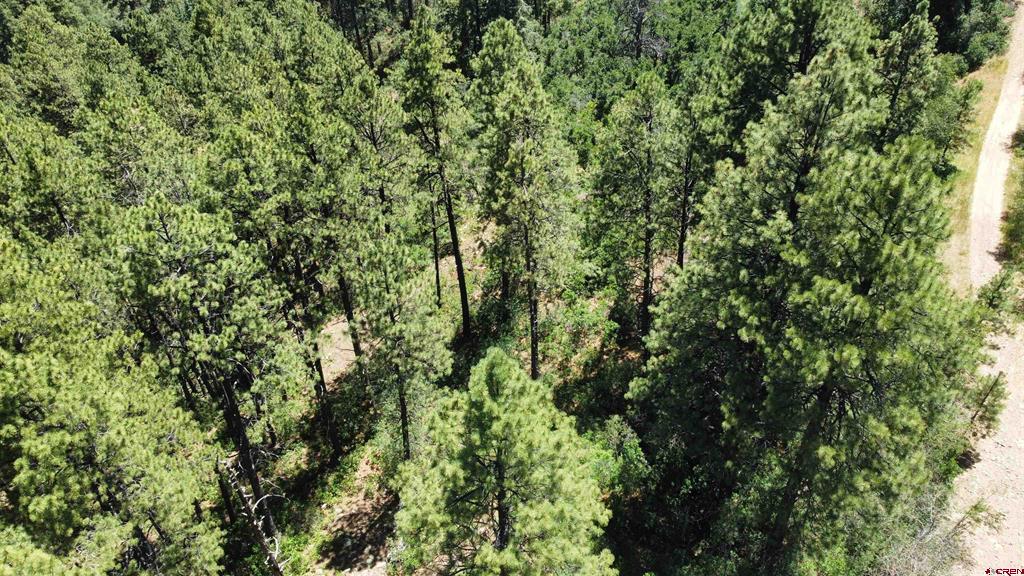 190 Jackalope Drive Bayfield CO 81122