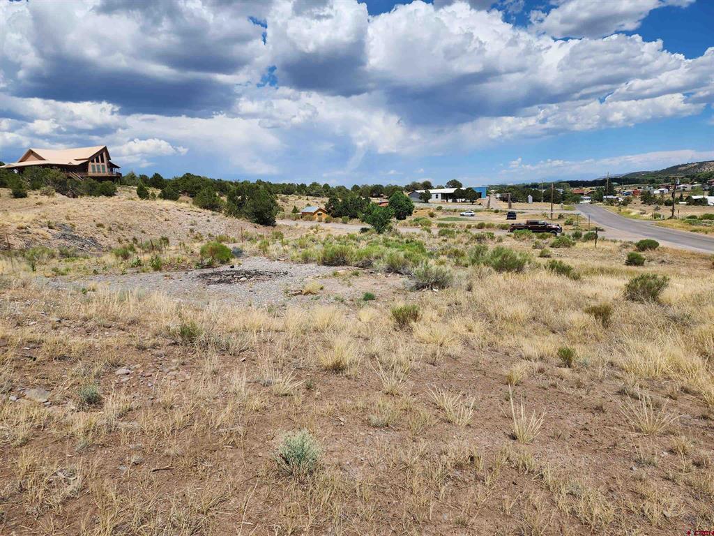 38 Berthoud Pass Road South Fork CO 81154