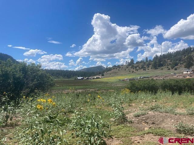 117 Ute Drive Pagosa Springs CO 81147
