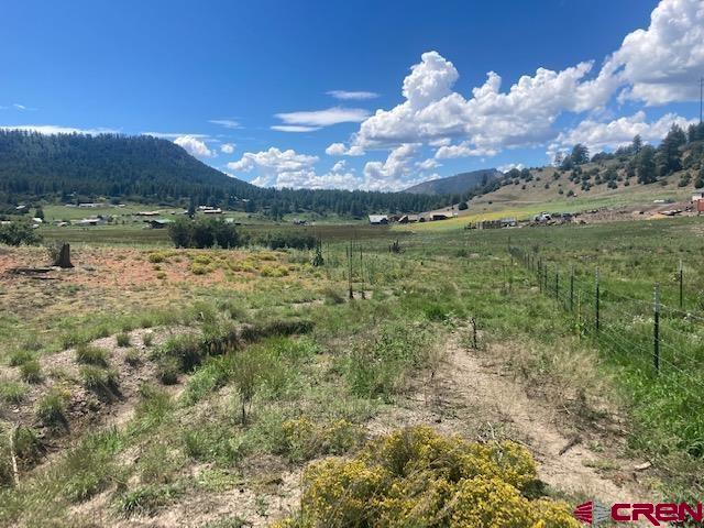 117 Ute Drive Pagosa Springs CO 81147