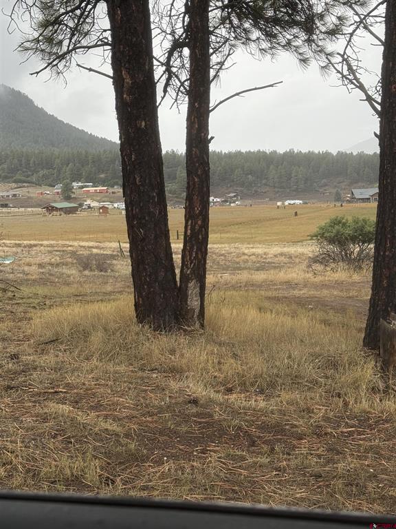 117 Ute Drive Pagosa Springs CO 81147