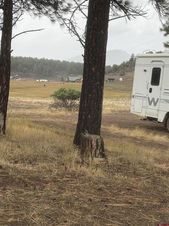117 Ute Drive Pagosa Springs CO 81147