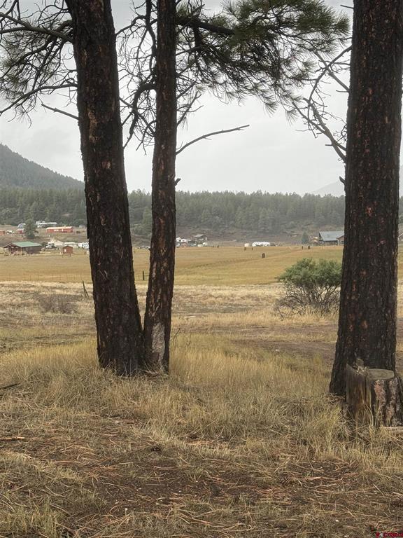 117 Ute Drive Pagosa Springs CO 81147
