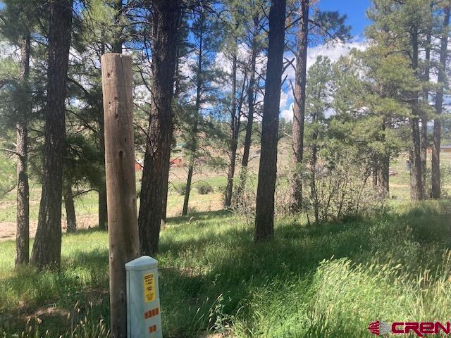 117 Ute Drive Pagosa Springs CO 81147
