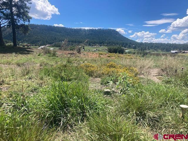 117 Ute Drive Pagosa Springs CO 81147