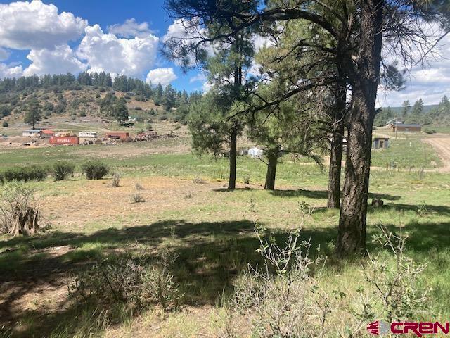 117 Ute Drive Pagosa Springs CO 81147
