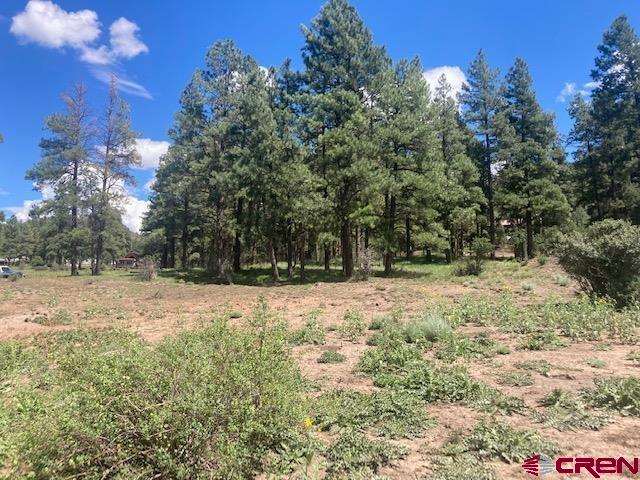 117 Ute Drive Pagosa Springs CO 81147