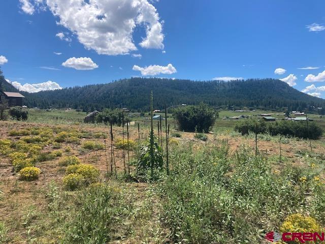 117 Ute Drive Pagosa Springs CO 81147