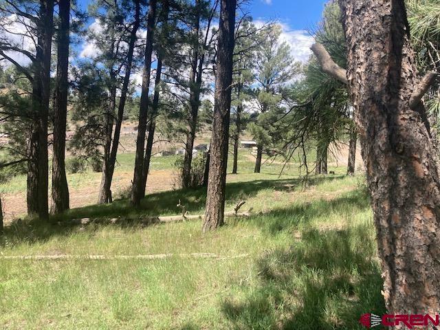 117 Ute Drive Pagosa Springs CO 81147