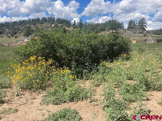 117 Ute Drive Pagosa Springs CO 81147